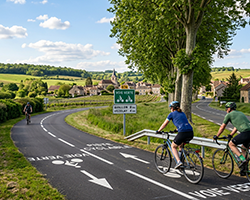 Panneaux piste cyclable et marquage au sol : quelles synergies pour la s�curit� ?