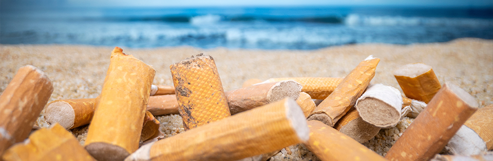 Plages sans tabac : la France durcit l'interdiction de fumer ! - Virages