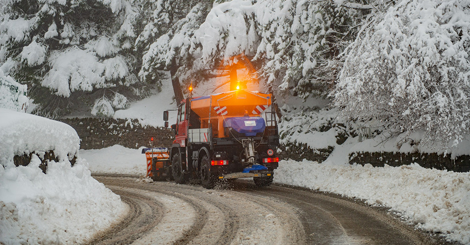 Les dégats du sel de déneigement dans le jardin