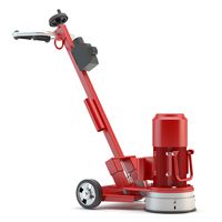 Rectifieuse ponceuse Diamatic BGS-250
