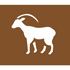 Kit pochoirs pdibus animaux