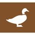 Kit pochoirs pdibus animaux