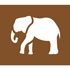 Kit pochoirs pdibus animaux
