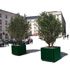Bac  palmier Venise