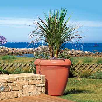 Jardinire Yucca en bton