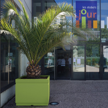 Bac carr Horizon de grande taille